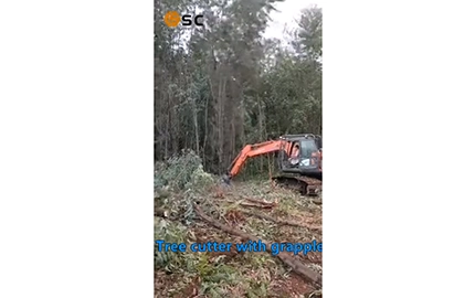مقص شجرة مع كلاب