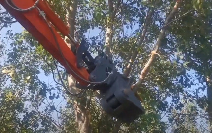 قص الأشجار مع دوران بأول °